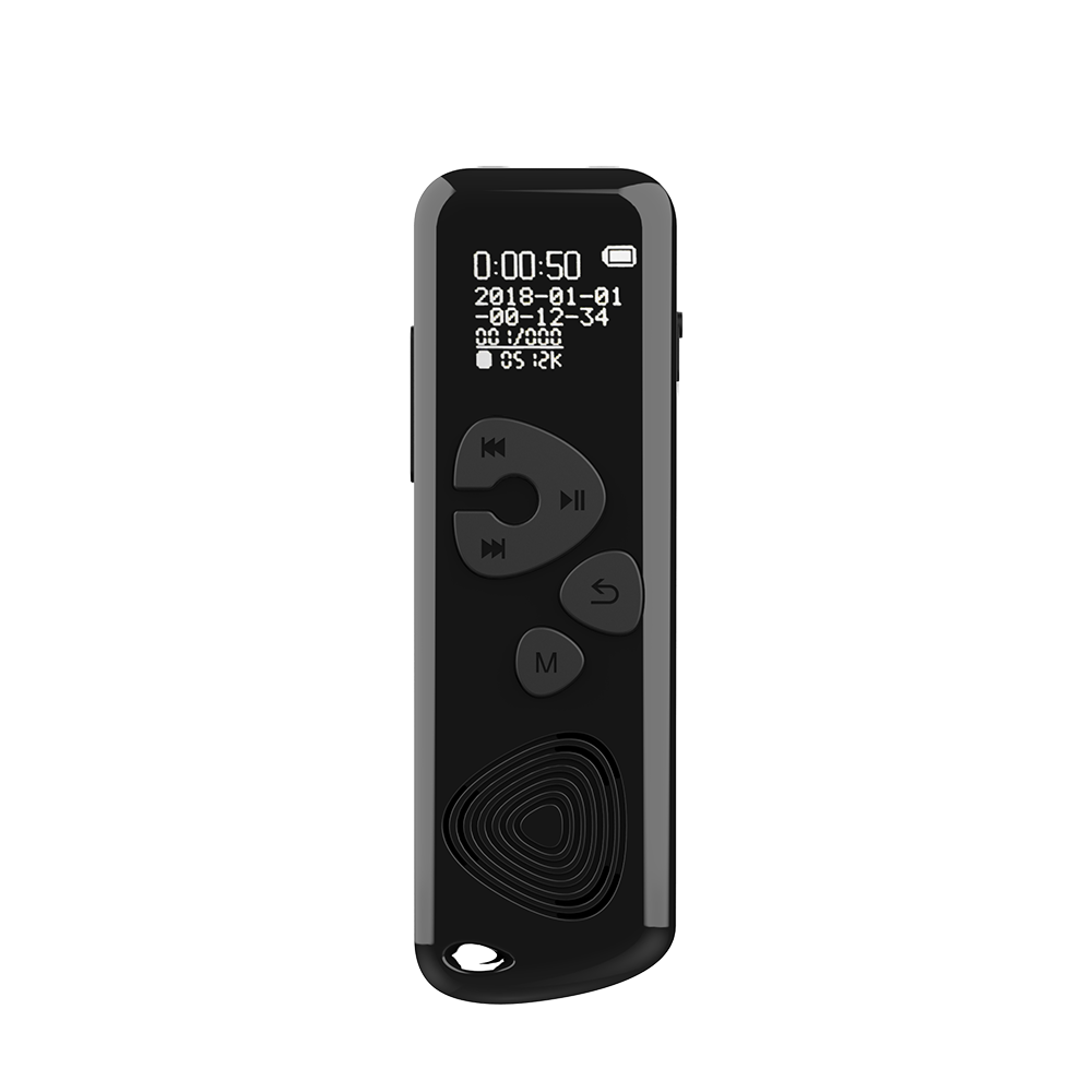 product-Black Professional Espionage Mini Size Hidden Voice Recorder Audio Wiretap At a Distance Roo-1